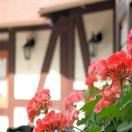 Schuetzen Hotel Bad Peterstal-Griesbach